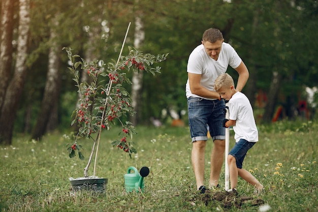 Padre con hijo pequeño están plantando un árbol en un patio