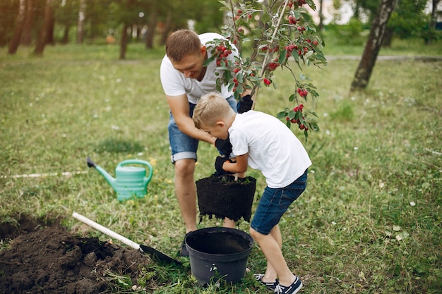 Padre con hijo pequeño están plantando un árbol en un patio