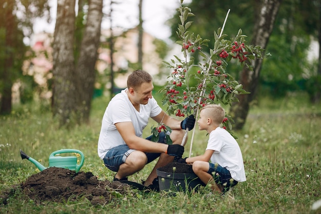 Padre con hijo pequeño están plantando un árbol en un patio