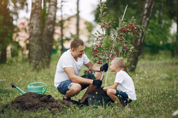 Padre con hijo pequeño están plantando un árbol en un patio