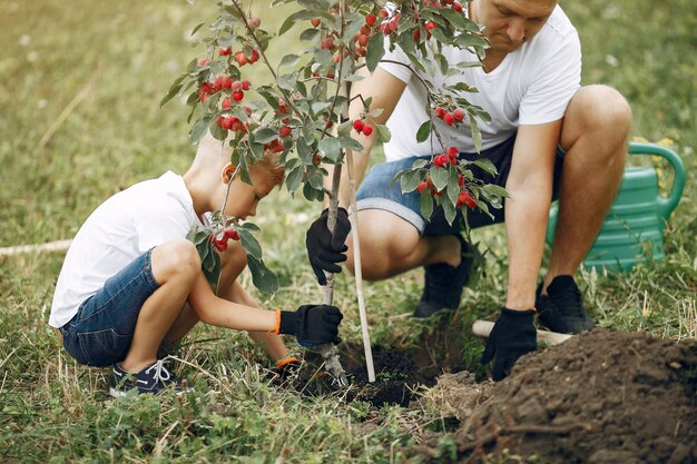 Padre con hijo pequeño están plantando un árbol en un patio