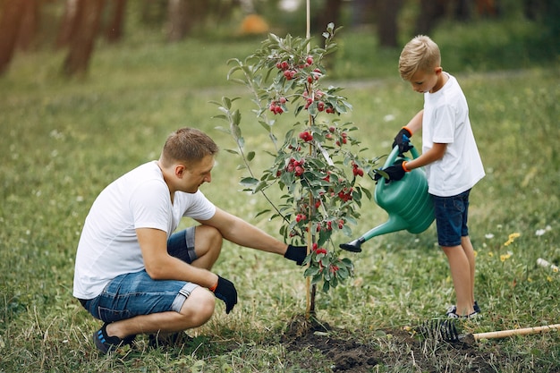 Padre con hijo pequeño están plantando un árbol en un patio