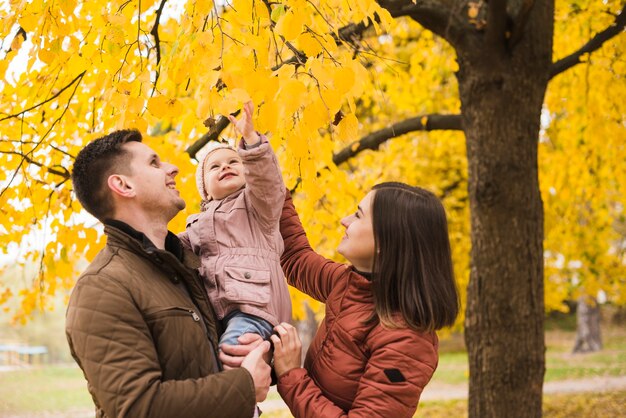 Padre y madre, tenencia, hija, por, árbol