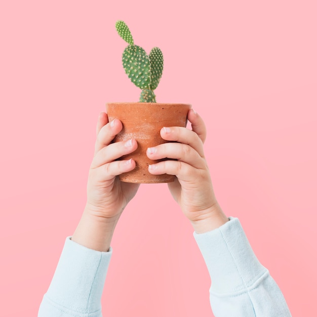 Foto gratuita padre de planta con cactus en maceta