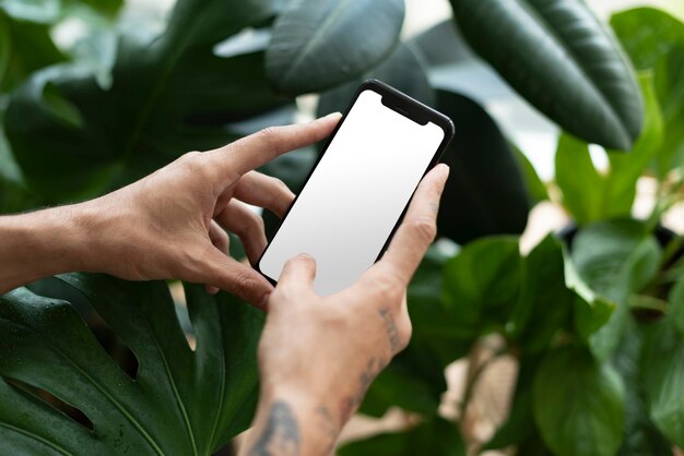 Padre de planta con smartphone con pantalla en blanco