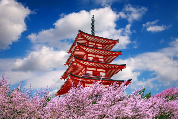 Pagoda roja y flores de cerezo en primavera, Japón.