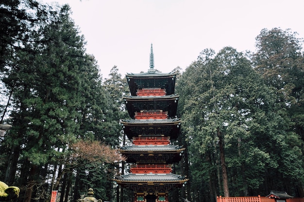 Foto gratuita pagoda roja en llover