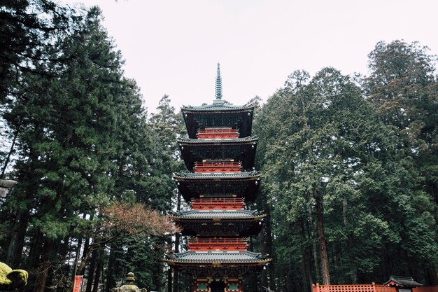 pagoda roja en llover