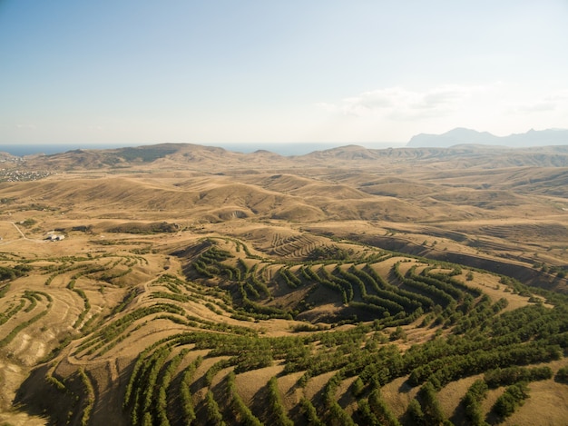 Paisaje aéreo en Crimea