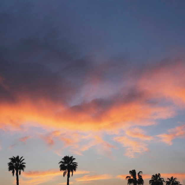 Paisaje al atardecer