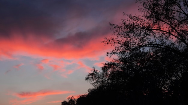 Paisaje al atardecer