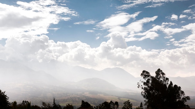 Paisaje con arboles y nubes