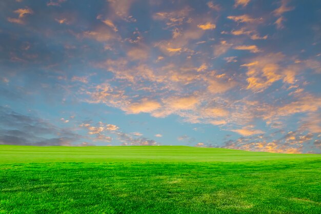 paisaje del atardecer