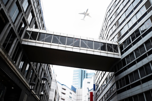 Paisaje con avión volando en el cielo