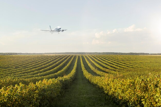 Paisaje con avión volando en el cielo