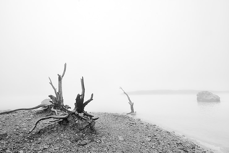 Foto gratuito paisaje en blanco y negro de un lago