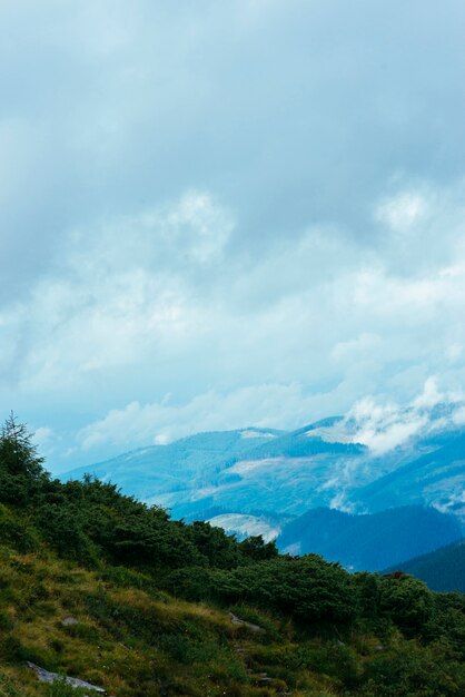 Paisaje de bosque de montaña con cielo nublado