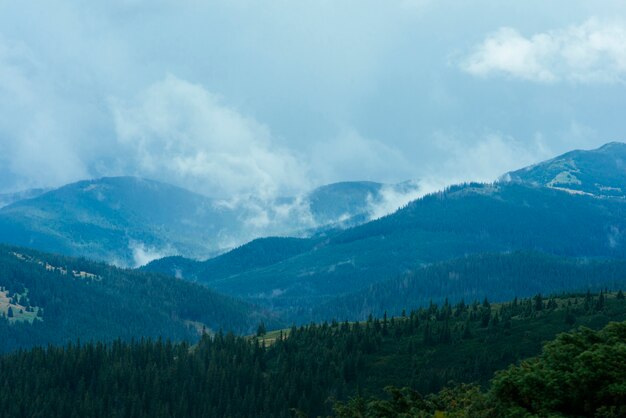 Paisaje de bosque de montaña verde