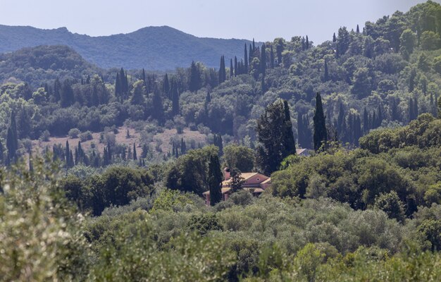 Paisaje de bosques y montañas