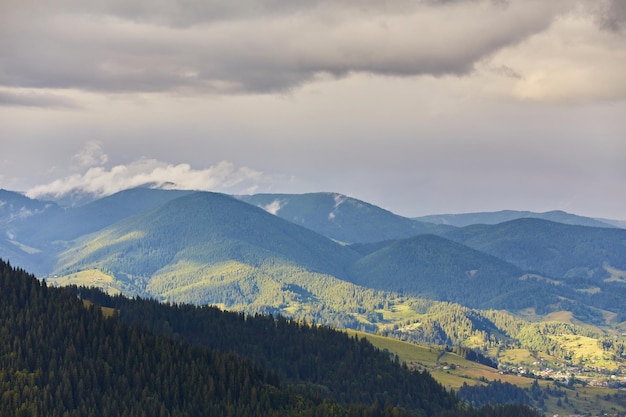 Foto gratuita paisaje con bosques de pinos en las montañas.