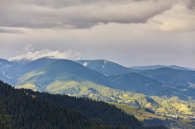 Paisaje con bosques de pinos en las montañas.