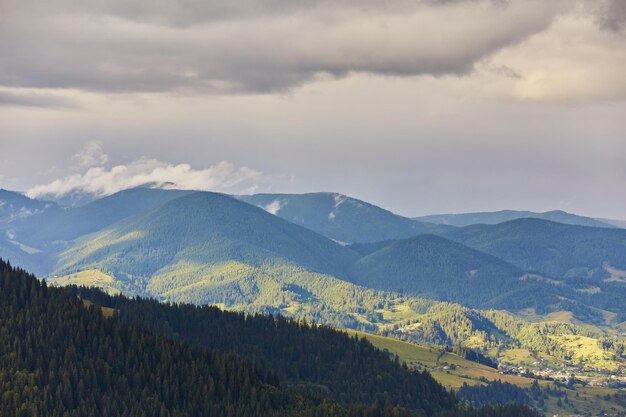 Paisaje con bosques de pinos en las montañas.