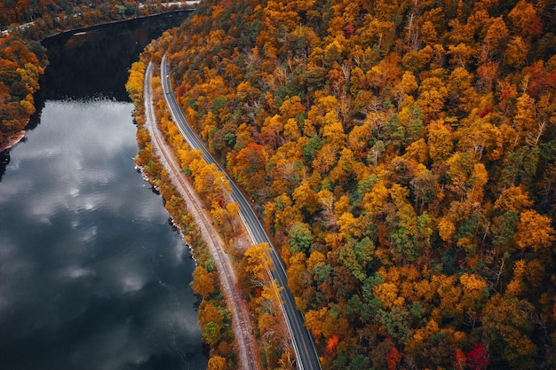 Paisaje de un camino en un bosque cubierto de árboles amarillentos rodeado por un lago