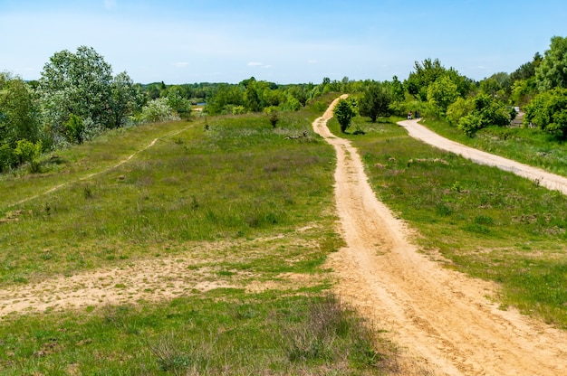 Paisaje de un campo abierto con árboles y un camino de tierra capturado durante el día.