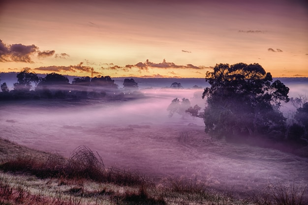 Paisaje de un campo cubierto de hierba y niebla bajo la luz del sol durante una impresionante puesta de sol