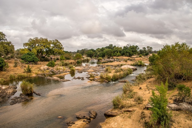 Paisaje de un campo cubierto de vegetación y agua bajo un cielo nublado