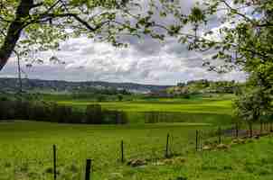 Foto gratuita paisaje de un campo cubierto de vegetación bajo un cielo nublado durante el día