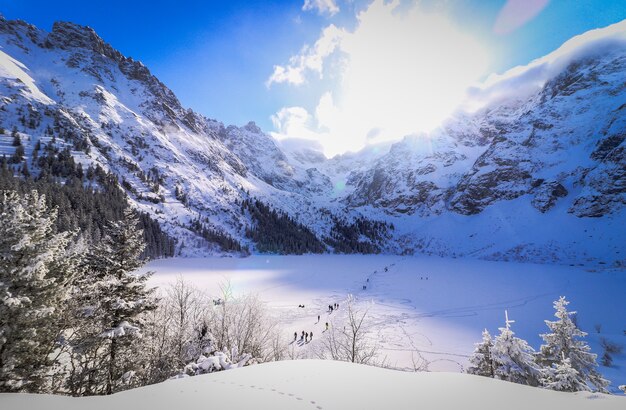 Paisaje de un campo y montañas cubiertas de nieve y el sol brillante