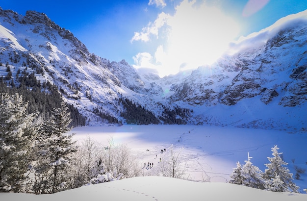 Paisaje de un campo y montañas cubiertas de nieve y el sol brillante