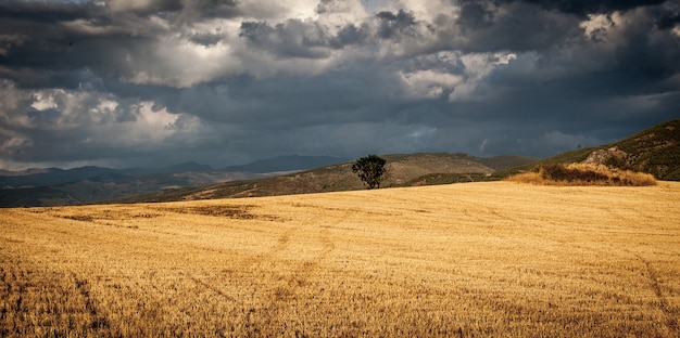 Paisaje de un campo rodeado de colinas bajo el cielo nublado