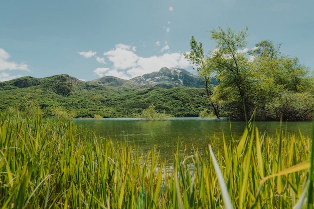 Foto gratuita paisaje de un campo verde