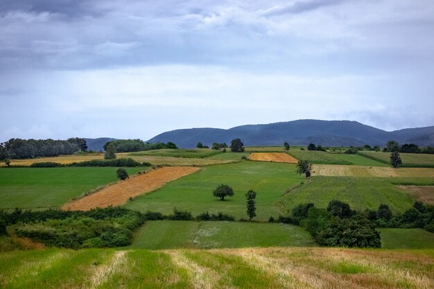 Paisaje de campos en una aldea rodeada de colinas cubiertas de bosques bajo un cielo nublado