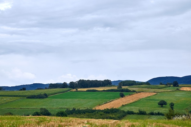 Paisaje de campos rodeados de colinas cubiertas de vegetación bajo el cielo nublado