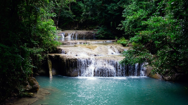 Paisaje cascada en un bosque