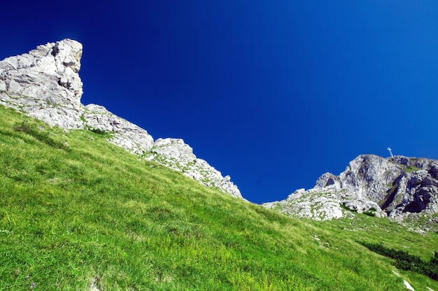 Foto gratuita paisaje con césped y montañas rocosas