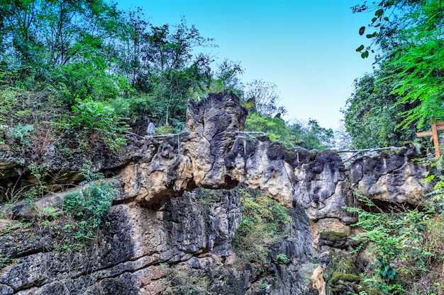 Foto gratuita paisaje china planta al aire libre musgo la reflexión