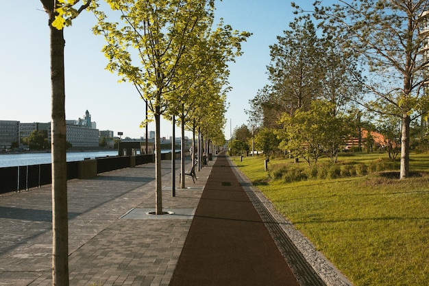 Paisaje de ciudad analógica con edificios a la luz del día.