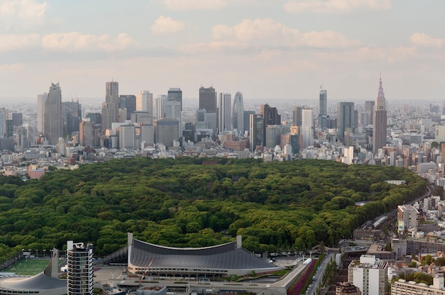 Foto gratuita paisaje de la ciudad con hermoso parque