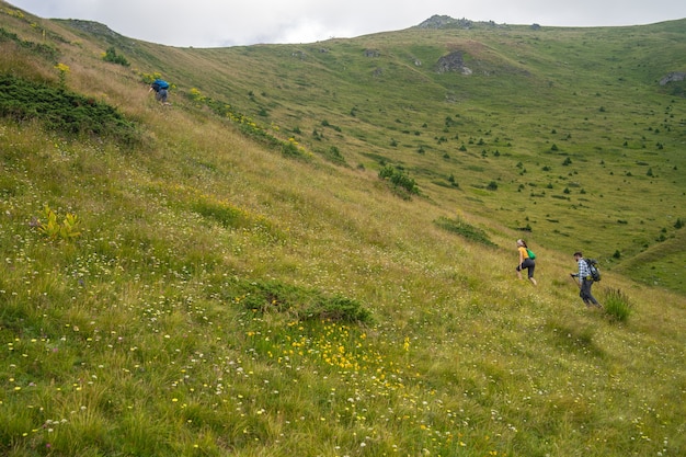 Paisaje de una colina cubierta de vegetación con excursionistas subiéndola bajo un cielo nublado