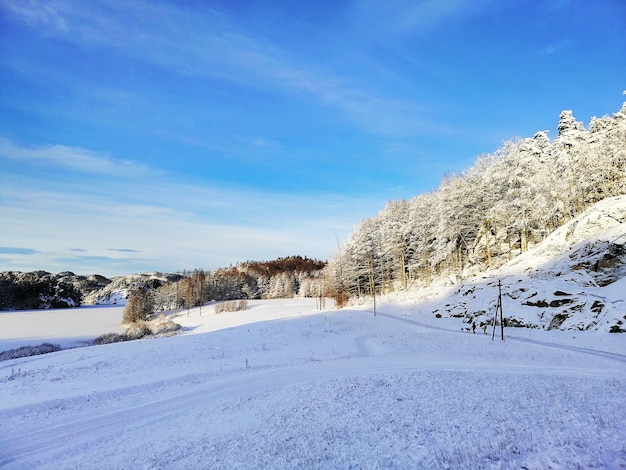 Paisaje de colinas cubiertas de árboles y nieve bajo la luz del sol y un cielo azul en Larvik en Noruega