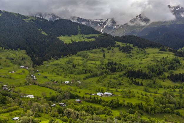 Paisaje de colinas cubiertas de bosques y niebla bajo el cielo nublado