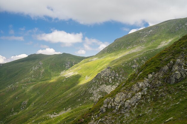 Paisaje de colinas cubiertas de hierba y árboles bajo un cielo nublado y la luz del sol durante el día