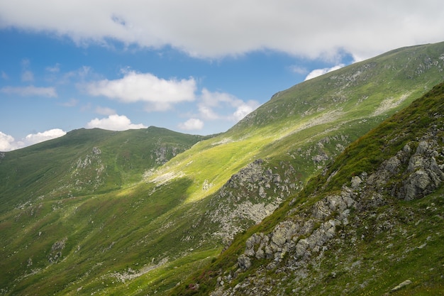 Paisaje de colinas cubiertas de hierba y árboles bajo un cielo nublado y la luz del sol durante el día