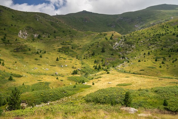 Paisaje de colinas cubiertas de hierba y árboles bajo un cielo nublado y la luz del sol durante el día