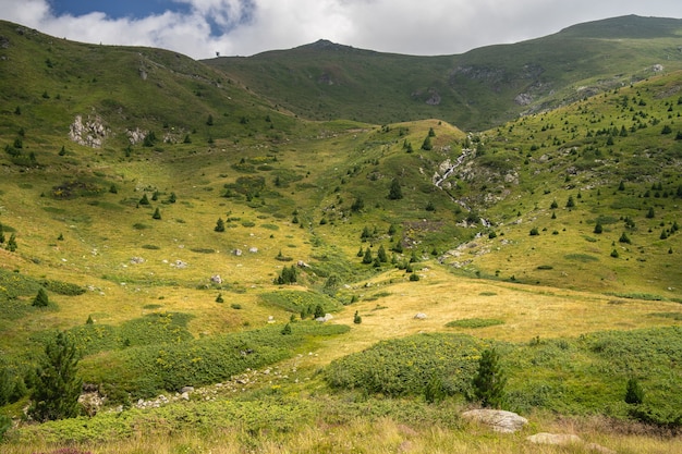 Paisaje de colinas cubiertas de hierba y árboles bajo un cielo nublado y la luz del sol durante el día