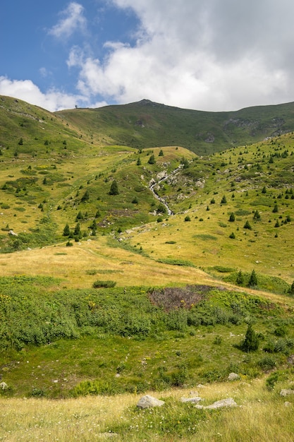 Paisaje de colinas cubiertas de hierba y árboles bajo un cielo nublado y la luz del sol durante el día